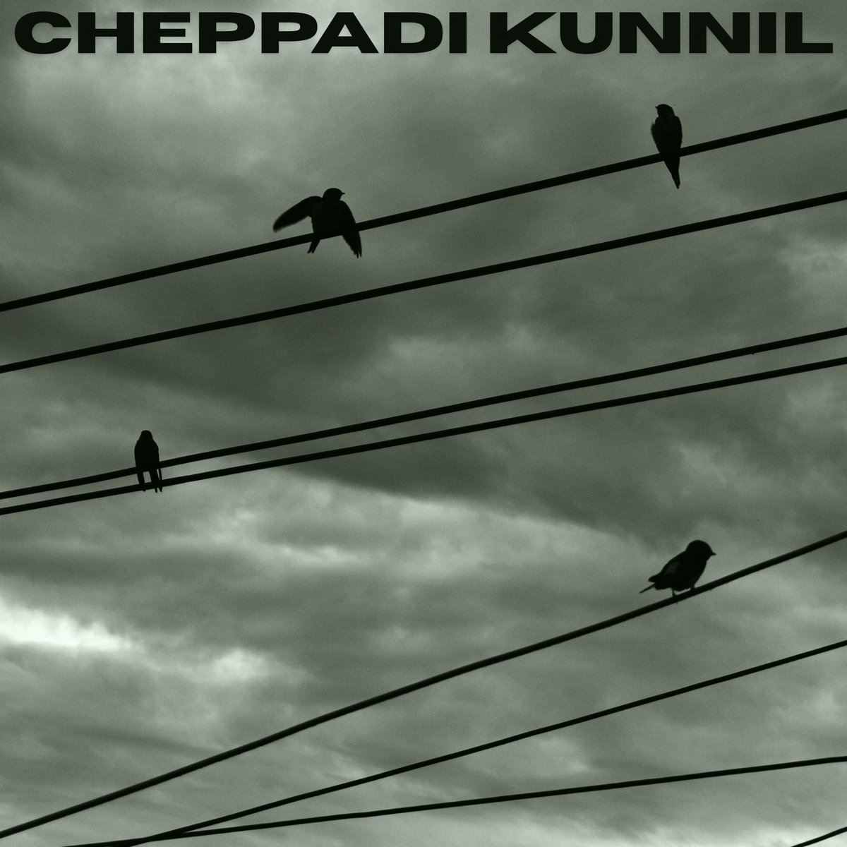 Cheppadi Kunnil (From “The Jungle Book Malayalam”)