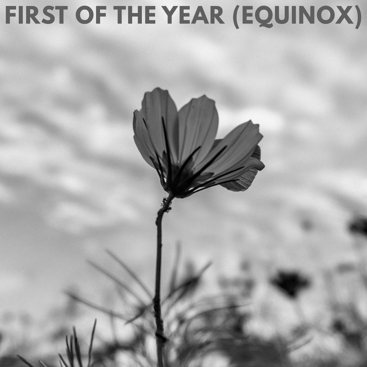 First of the Year (Equinox)